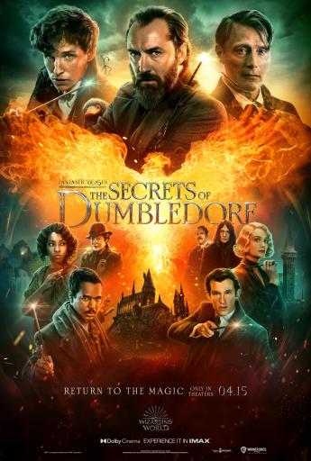 Fantastic Beasts: The Secrets of Dumbledore (Harry Potter)